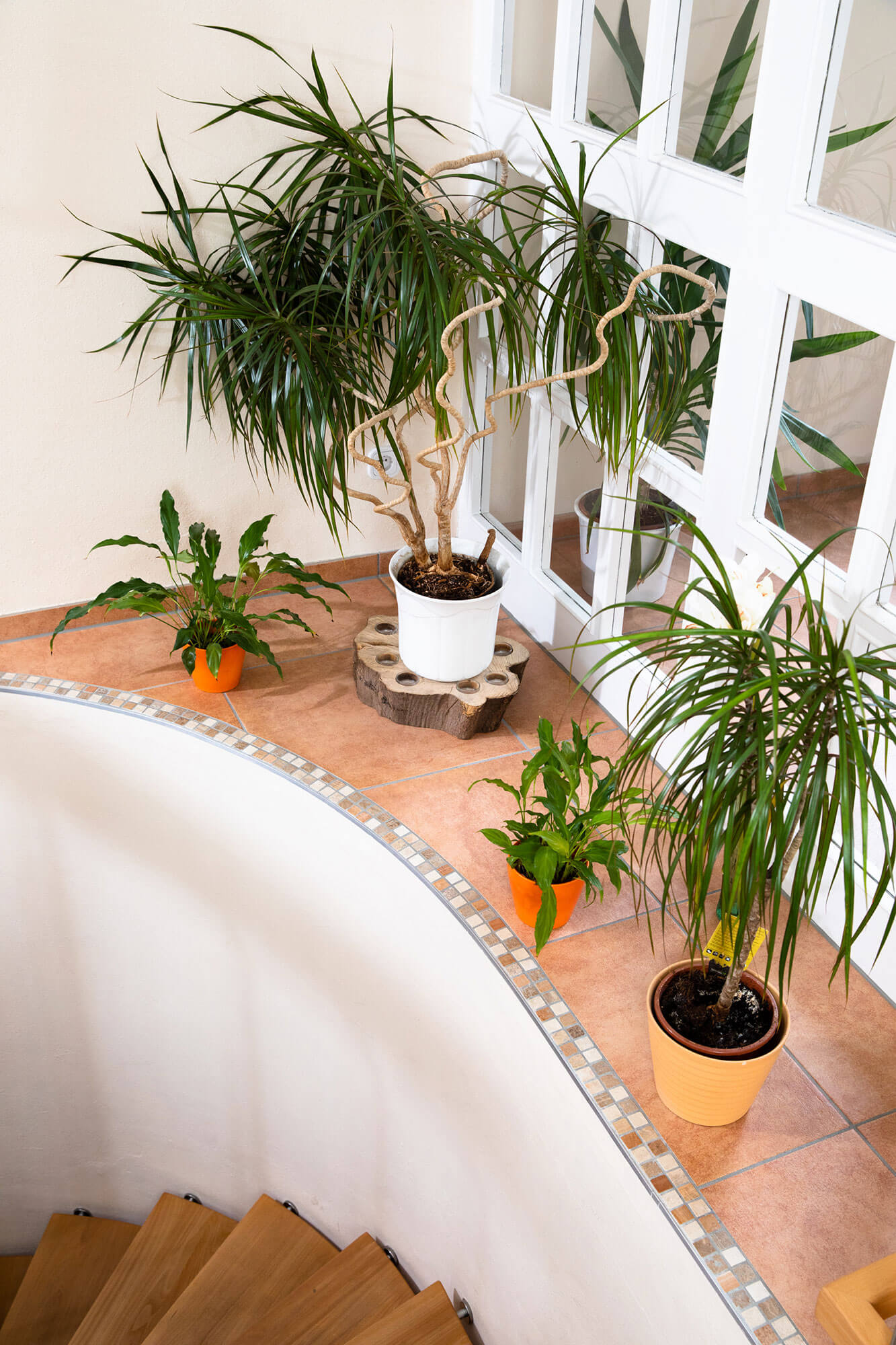 willi-dueck-praxis-eingang-hemer Eingangsbereich in meiner Praxis in Hemer